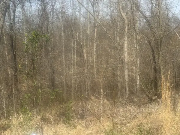 0 Ridgeway Drive, Smithville, TN 37166
