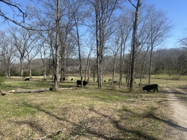 9849 Sam Donald Rd, Nolensville, TN 37135