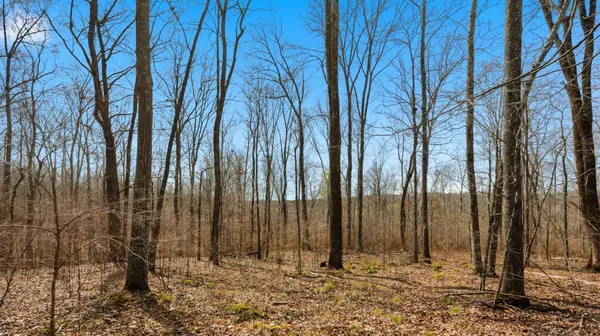 0 Herman Adams Road, Cumberland City, TN 37050