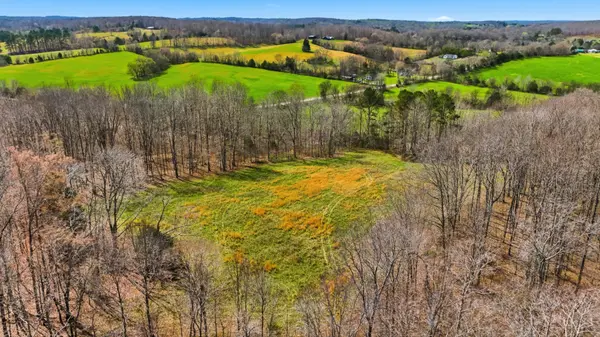 0 Herman Adams Road, Cumberland City, TN 37050