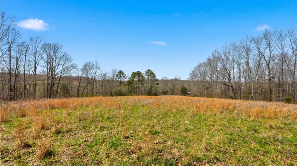 0 Herman Adams Road, Cumberland City, TN 37050