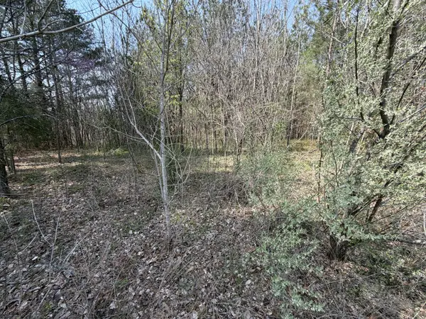 5106 Workman Rd, Southside, TN 37171