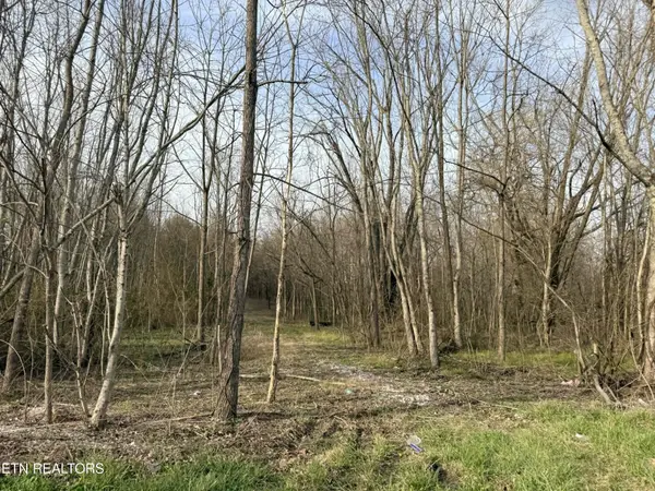 1115 Frank Campbell Rd, Jamestown, TN 38556