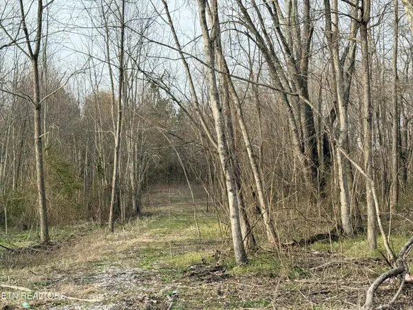 1115 Frank Campbell Rd, Jamestown, TN 38556