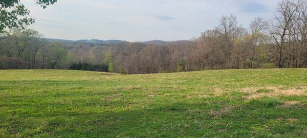 1 Haley Rd, College Grove, TN 37046