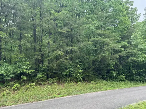 18 Avenue, Gruetli Laager, TN 37339