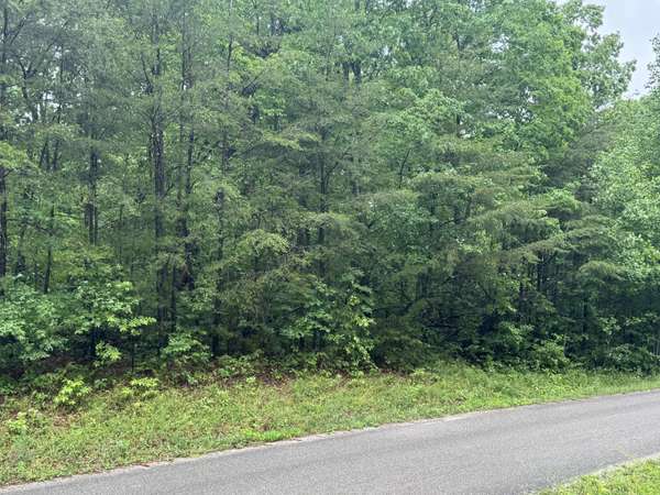 18 Avenue, Gruetli Laager, TN 37339