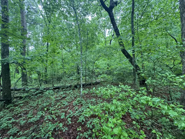 18 Avenue, Gruetli Laager, TN 37339