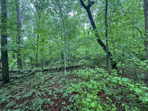 18 Avenue, Gruetli Laager, TN 37339
