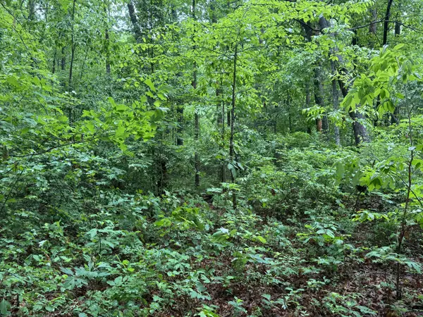 18 Avenue, Gruetli Laager, TN 37339
