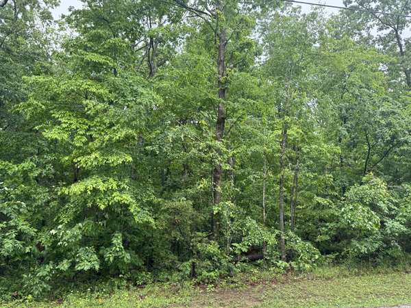 0 18th Avenue #S, Gruetli Laager, TN 37339