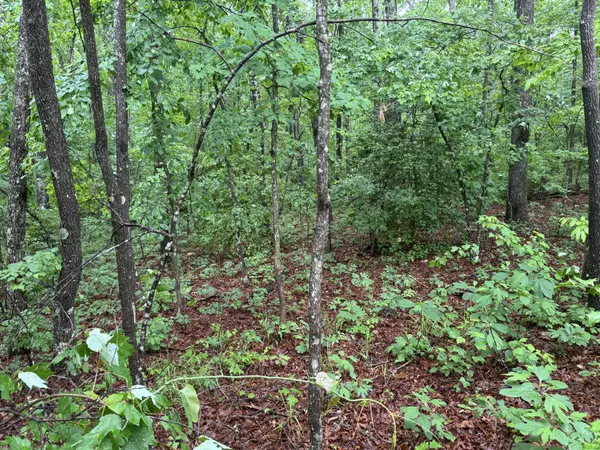 0 18th Avenue #S, Gruetli Laager, TN 37339