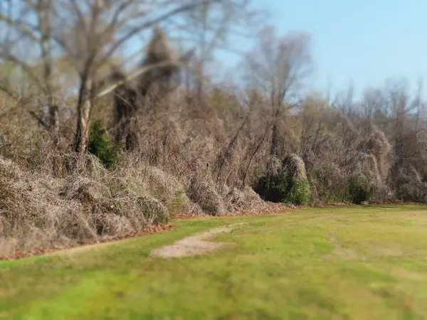 0 HIGHWAY 125 N, Toone, TN 38381