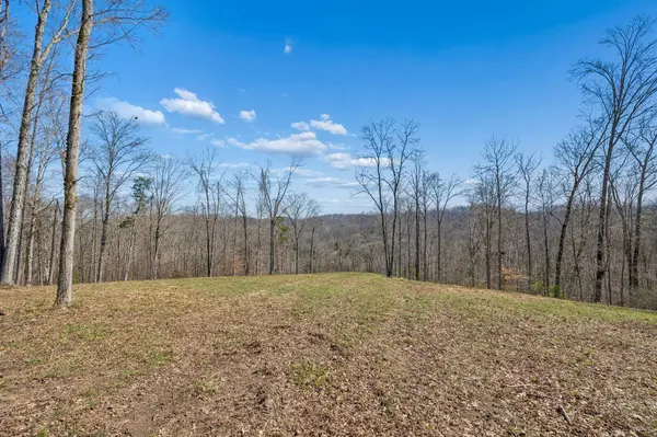 6012 Russell Ridge Lane, Franklin, TN 37064