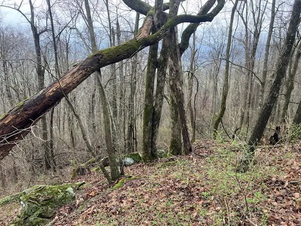 0 Talley Top Trl, Huntland, TN 37345
