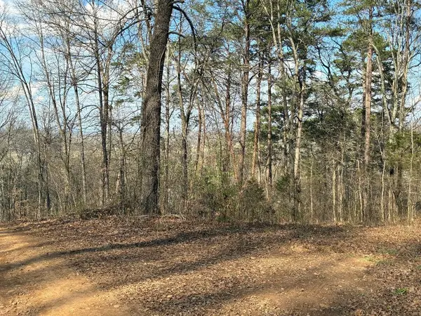 13356 Ellison Trace, Birchwood, TN 37308