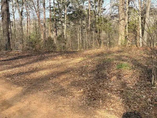 13356 Ellison Trace, Birchwood, TN 37308