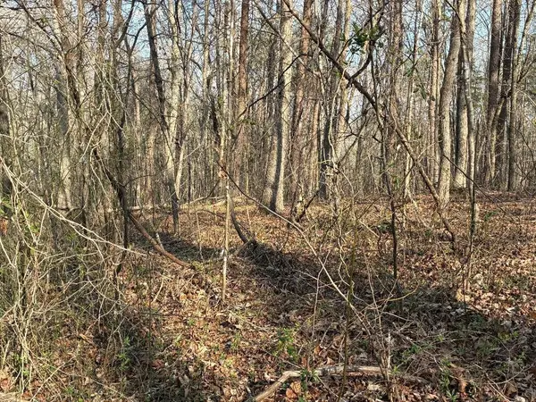 13356 Ellison Trace, Birchwood, TN 37308