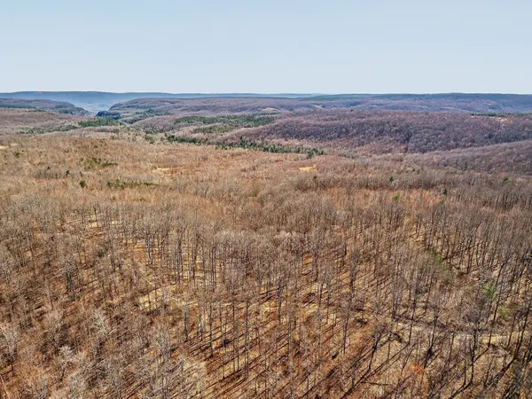 253 Daus Mountain Rd, Palmer, TN 37365