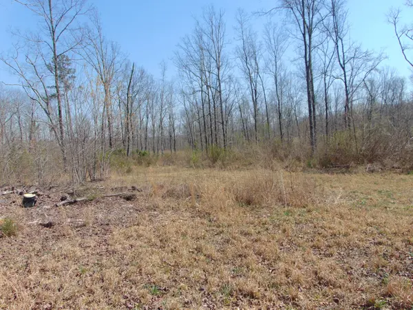 3160 Jimmy Holt Rd, Cypress Inn, TN 38452