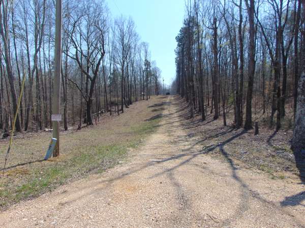 3160 Jimmy Holt Rd, Cypress Inn, TN 38452