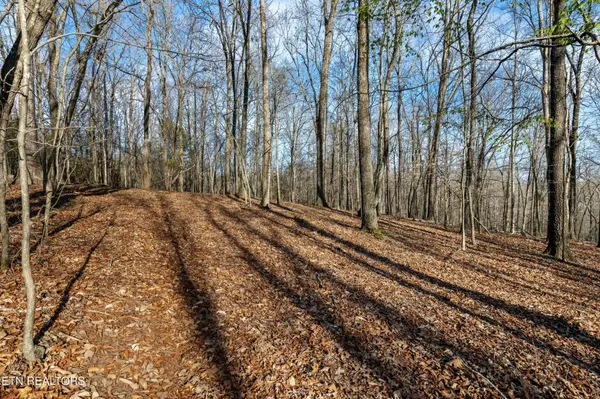 150 Clear Branch Rd N, Loudon, TN 37774