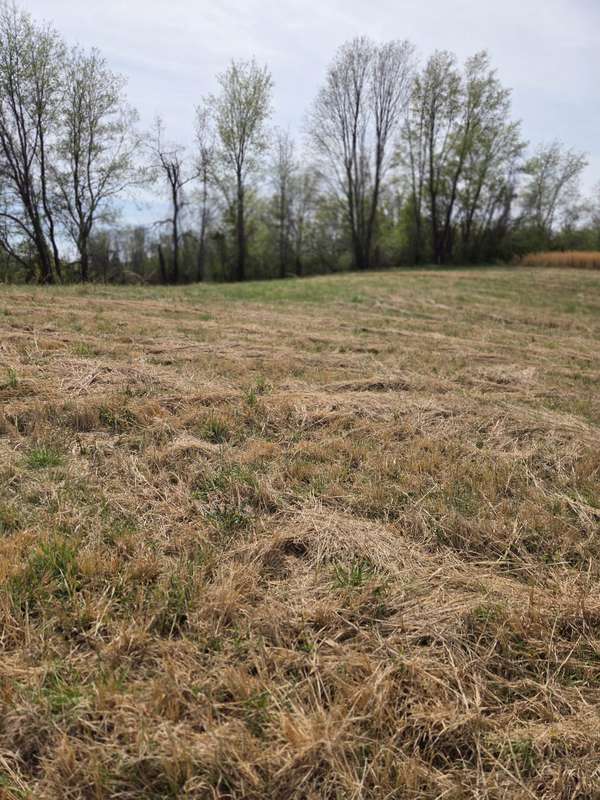 0 Hancock Dr, Morrison, TN 37357