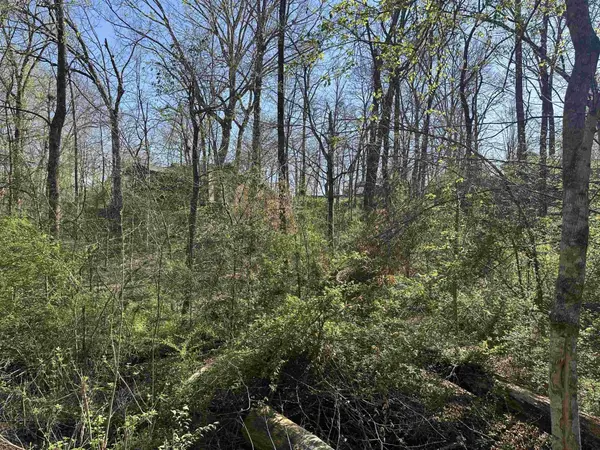 0 CRUMP LANDING RD, Crump, TN 38327