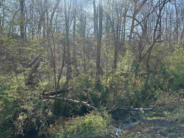 0 CRUMP LANDING RD, Crump, TN 38327