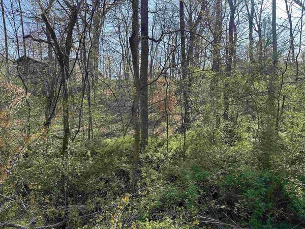 0 CRUMP LANDING RD, Crump, TN 38327