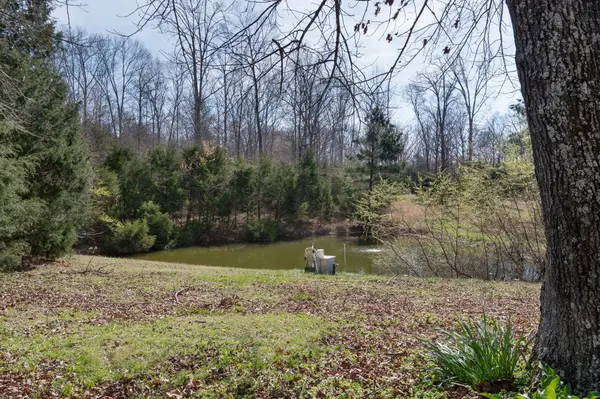 1300 New Sheboss Road, Duck River, TN 38454