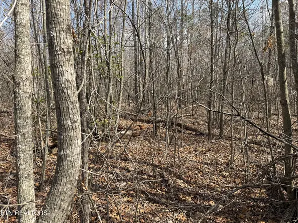 0 Cumberland Lakes Drive, Monterey, TN 38574