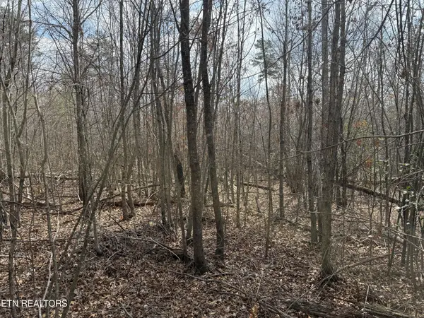 0 Cumberland Lakes Drive, Monterey, TN 38574