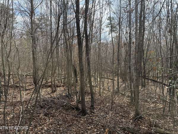 0 Cumberland Lakes Drive, Monterey, TN 38574