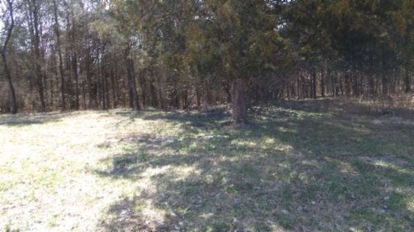 1586 Needmore Rd, Old Hickory, TN 37138
