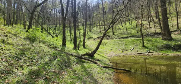 0 Chapman Hollow Rd, Dowelltown, TN 37059