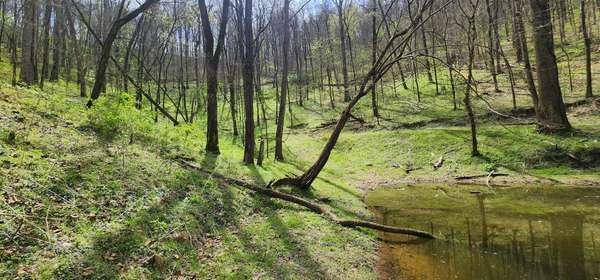 0 Chapman Hollow Rd, Dowelltown, TN 37059
