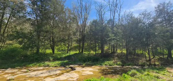 0 Wilson Hollow Rd, Liberty, TN 37095