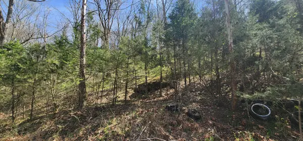 0 Wilson Hollow Rd, Liberty, TN 37095