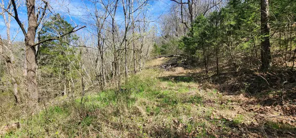 0 Wilson Hollow Rd, Liberty, TN 37095