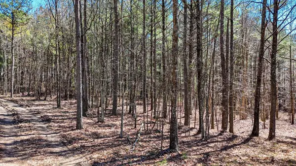 0 Slow Time Street, Guild, TN 37340