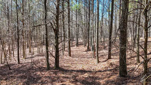 0 Slow Time Street, Guild, TN 37340