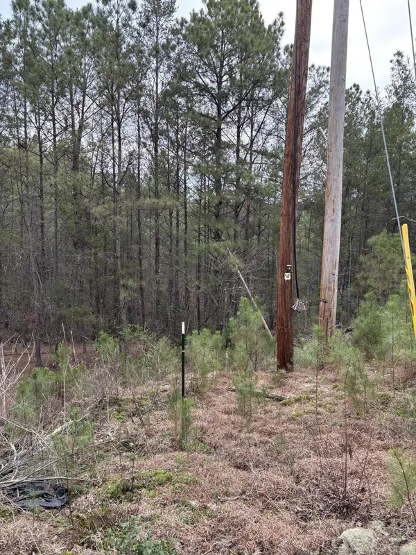 0 Highway 64, Ducktown, TN 37326