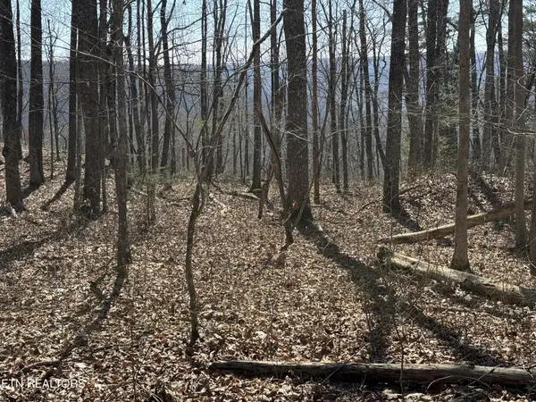 0 Cumberland Cove Rd, Monterey, TN 38574