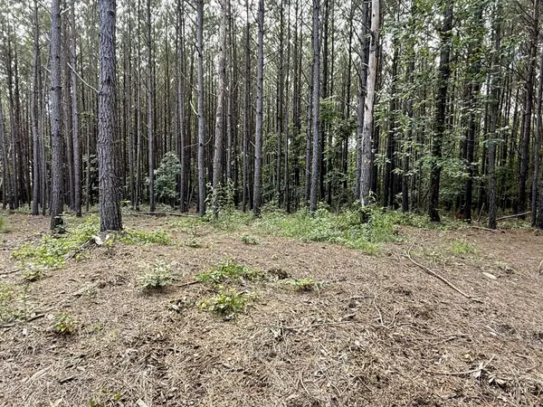 191 Seiber Ridge RD, Hohenwald, TN 38462