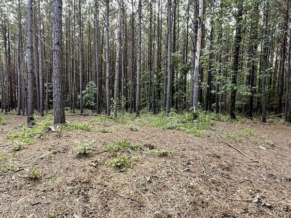 191 Seiber Ridge RD, Hohenwald, TN 38462