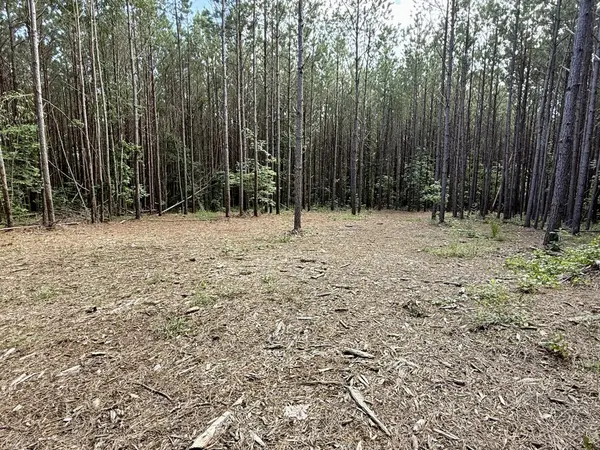 191 Seiber Ridge RD, Hohenwald, TN 38462