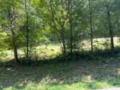 0 Shelter Branch Road, Charlotte, TN 37036