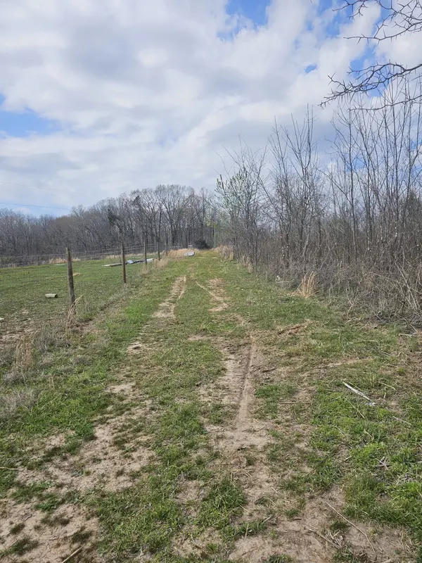 0 Robert Ford Cove, Clifton, TN 38425
