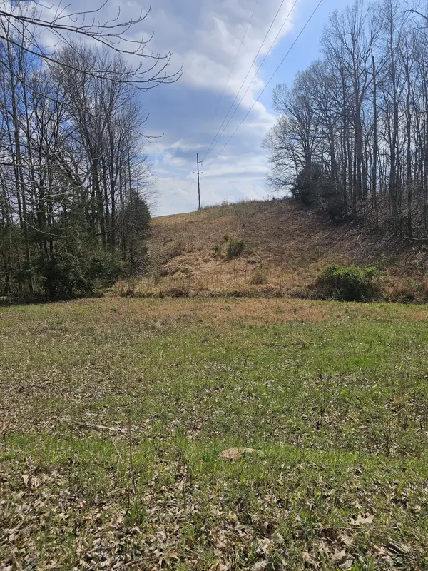 0 Robert Ford Cove, Clifton, TN 38425